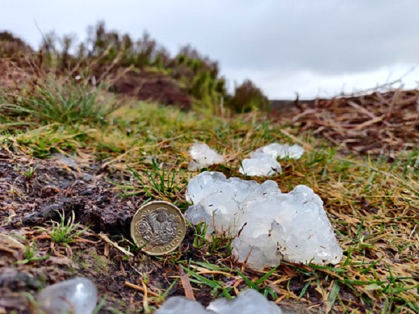 Tuy nhiên M. Smith - tác giả cuốn "The Book of British Amphibians and Reptiles" lại cho rằng thạch sao rất có thể được hình thành từ các tuyến trong ống dẫn trứng của loài ếch và cóc.