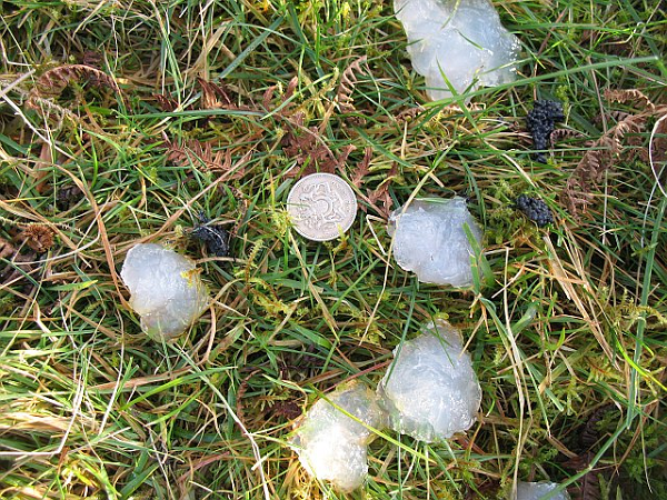 Thế nhưng, cho tới nay, các nhà khoa học vẫn chưa xác nhận suy đoán nào là chính xác.