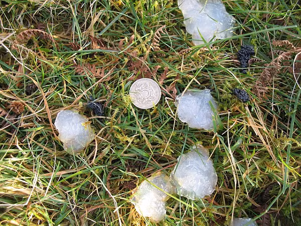 Thế nhưng, cho tới nay, các nhà khoa học vẫn chưa xác nhận suy đoán nào là chính xác.