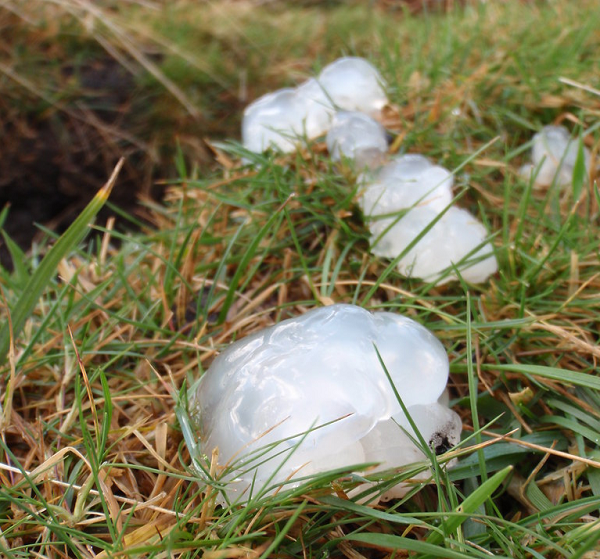 Thạch sao còn gọi là thạch tinh tú hay astromyxin. Thạch sao là một chất có kết cấu giống gelatin, nó có màu trắng xám hoặc trắng đục. Trong quan niệm dân gian, thạch sao được lắng đọng trên Trái Đất sau những trận mưa sao băng.