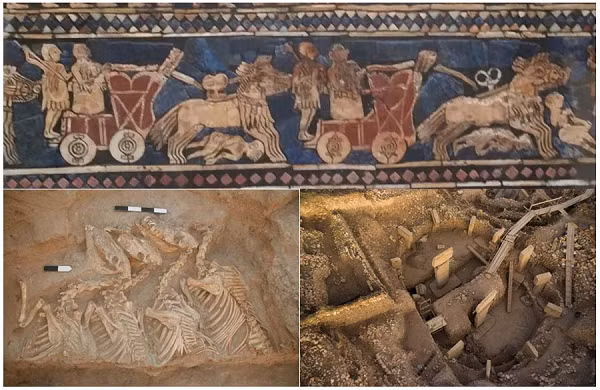 Cụ thể, người Lưỡng Hà cổ xưa đã dùng lừa cái nhà lai với lừa hoang Syria đực, hay còn gọi là hemione - tuy cũng gọi là lừa nhưng là một loài khác biệt so với lừa nhà, đã tách loài trên cây gia phả từ rất lâu.