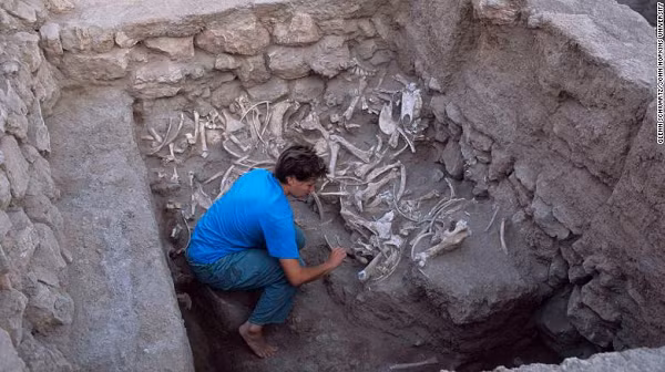 Vì thế, họ đã phải phân tích đến DNA từ những bộ xương 4.500 tuổi này. Kết quả thu được đã khiến họ thực sự sốc khi bộ xương này là sinh vật lai giữa 2 loài.