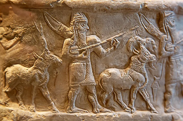 Nhưng khác với những con la, Kunga có thể hình rất đẹp và cao lớn, nên được dùng để thay chiến mã trên những cỗ xe. Quá trình lai giống này được cho là rất khó khăn bởi lừa hoang Syria là một loài khỏe mạnh, chạy rất nhanh và không thể thuần hóa.