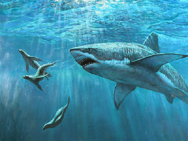 Cá mập Megalodon đã tuyệt chủng khoảng 1,6 triệu năm trước. Nhưng một số người không hài lòng với điều này và tin rằng chúng có thể vẫn tồn tại. Một vài tài liệu (có sử dụng cảnh quay giả) đã khiến nhiều người tin rằng Megalodon vẫn đang lẩn trốn trong đại dương.