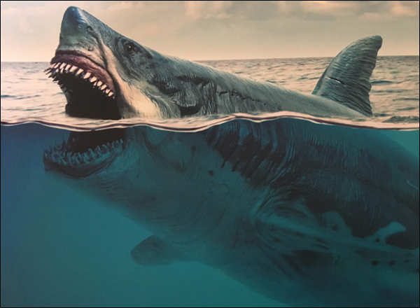 Một nghiên cứu hồi tháng 6/2021 cho rằng Megalodon trưởng thành có thể phát triển chiều dài lên tới gần 20 mét, vượt xa kích thước trước đây người ta thường nghĩ về loài này. Trong khi đó, cá nhà táng ngày nay có thể dài tới gần 16 mét và nặng 41 tấn.