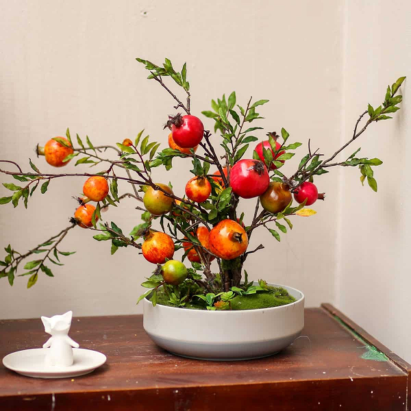 Cây lựu là loài cây vừa ăn quả, vừa được sử dụng làm kiểng trong ngôi nhà. Cây lựu có thân gỗ tương trưng cho sự vững chãi, kiên cường. Quả lựu màu đỏ như những chiếc đèn lồng may mắn mang lại hỉ sự, phúc lộc đến nhà. Những chùm hoa lựu đỏ chót giúp gia chủ xua ma đuổi quỷ và mang lại ấm no, tài lộc hạnh phúc.