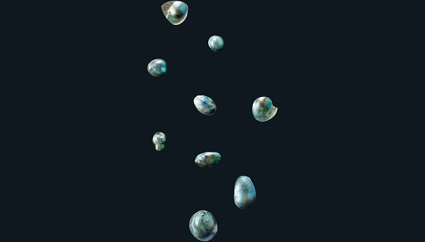 Giá trị của một viên ngọc bào ngư được đánh giá qua màu sắc, độ bóng, hình dạng, cân nặng và kích thước.