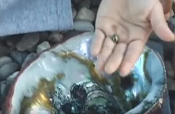 Vì thấy quán kỳ lạ nên cô đã mang về nhà. Sau khi nhìn thấy hòn đá, người cha - một thợ lặn giàu kinh nghiệm đã nhận ra món đồ mà con gái mang về là thứ có giá trị, ít nhất là hơn một hòn đá.