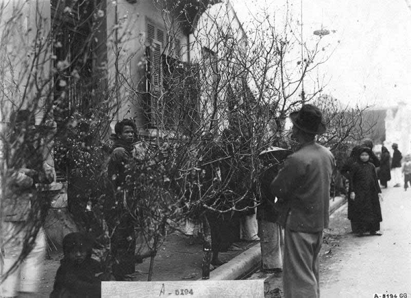 Chợ chủ yếu bán hoa đào.