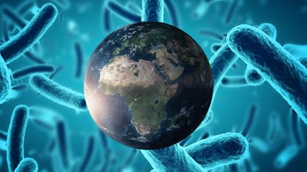 Trong số các vi sinh vật có khả năng chịu nhiệt cực cao này là một nhóm sinh vật nhỏ bé được gọi là Archaea. Những hóa thạch sống này không chỉ phát triển mạnh trong nhiệt độ cao mà còn trong môi trường axit đốt cháy da thịt.