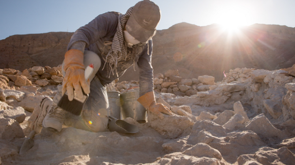 Hành vi này của giới tinh hoa Wari không chỉ thể hiện lòng hiếu khách mà còn mang đến một trải nghiệm chưa phổ biến rộng rãi ở những nơi khác và không dễ dàng cho bất kỳ ai muốn chống lại sự kiểm soát của Wari.