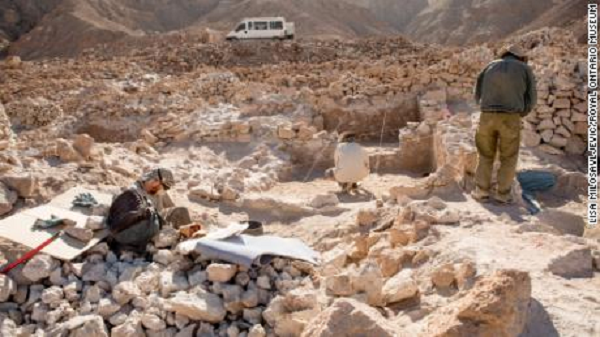 Matthew Biwer cho biết: "Đế chế Wari trải dài từ phía bắc Peru đến cực nam gần biên giới Chile và từ bờ biển đến các vùng núi của dãy Andes. Đây là ví dụ đầu tiên về một đế chế ở Nam Mỹ, họ sụp đổ khoảng 400 năm trước khi Đế chế Inca trỗi dậy".