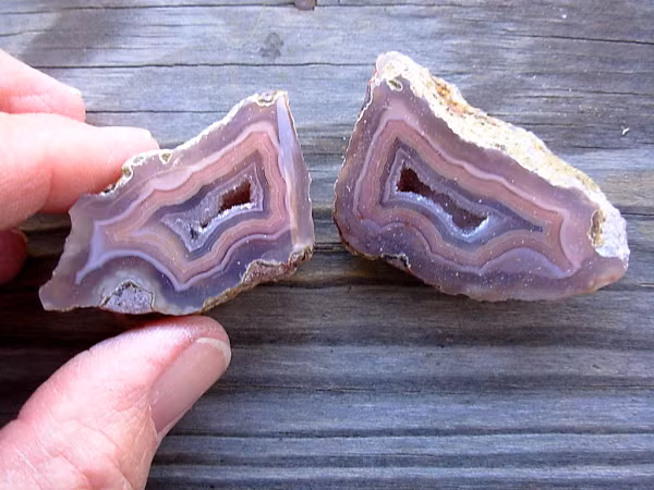 Đồng thời hỗ trợ làm giảm co giật, chống lại sự sợ hãi, bảo vệ cơ thể chống lại bệnh nhiễm khuẩn và bệnh ở dạ dày.