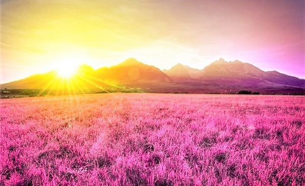 Trái Đất thuở xưa có màu tím do thực vật cổ đại không sử dụng chất diệp lục để hấp thụ ánh sáng Mặt Trời mà là một sắc tố khác - retinal. Nhờ retinal, chúng hấp thụ ánh sáng màu lục, và phản xạ lại màu đỏ và tím, khi trộn lẫn lại sẽ thành màu tím.