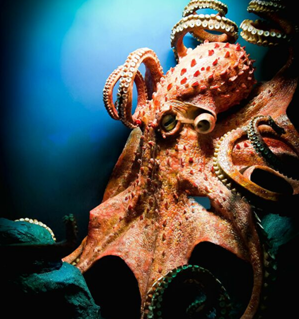 "Các giả thuyết được đề xuất củng cố nguồn gốc ngoài hành tinh của sự sống. Tuy nhiên, đó chưa hẳn là kết luận. Vẫn còn nhiều cách giải thích khả thi khác cho bằng chứng mà công trình đề cập", Baverstock nói thêm.