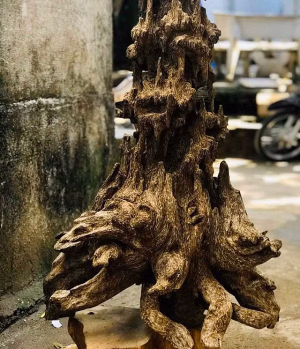 Đây là phần lõi của cây dó bầu nên rất cứng và không bao giờ bị mối mọt, mục nát hay chịu những tác động của các nhân tố tự nhiên như nắng, mưa, côn trùng,…