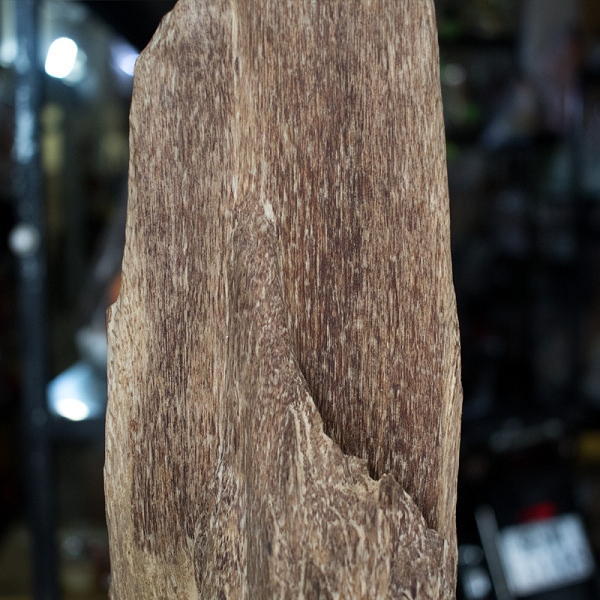 Chất gỗ trầm hương khá cứng, nặng, thường có vân nâu hay nâu đen dạng sọc dọc. Trầm hương có vị đắng, trọng lượng nhẹ, gỗ có thể nổi được trên nước. Tuy nhiên, trầm hương có lượng dầu nhiều (hơn 25%) sẽ chìm nước.