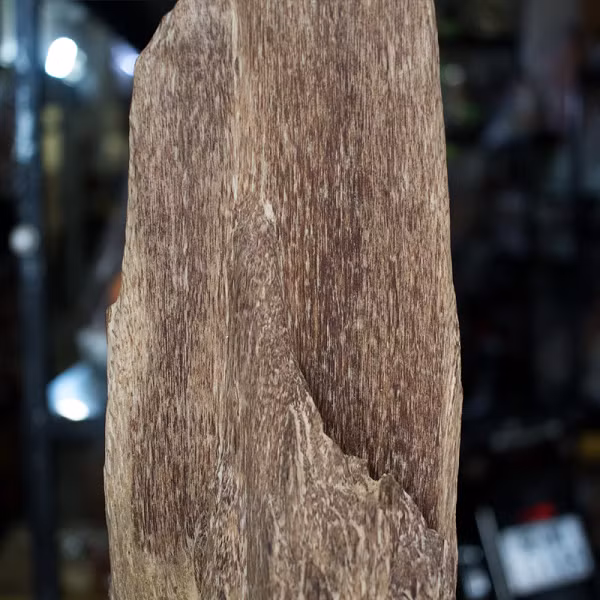 Chất gỗ trầm hương khá cứng, nặng, thường có vân nâu hay nâu đen dạng sọc dọc. Trầm hương có vị đắng, trọng lượng nhẹ, gỗ có thể nổi được trên nước. Tuy nhiên, trầm hương có lượng dầu nhiều (hơn 25%) sẽ chìm nước.