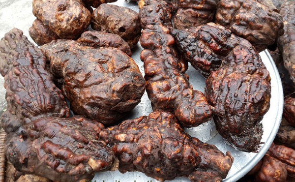 Trong cây hà thủ ô đỏ chứa rất nhiều thành phần tốt cho sức khỏe con người. Cụ thể, thành phần của loài cây này có thể kể đến như: 1.7% Anthraglycosid, 1.1% Protid, 45.2% Tinh Bột, 3.1% Lipid, 4.5% Chất Vô Cơ, 26.45g các chất tan trong nước, Lecithin, Rhaponticin và rất nhiều thành phần khác cũng rất tốt cho sức khỏe.