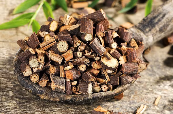 Sau khi nghe chuyên gia phân tích, lão Vương vô cùng vui sướng khi xây nhà lại đào được 1 con "rồng đất" quý giá như vậy. Ông quyết định sẽ tìm cửa hàng thuốc điều chế cây hà thủ ô đặc biệt này để sử dụng và dùng chúng làm quà cho người thân của mình.