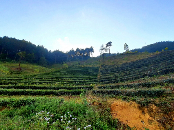 'Tuyệt tình cốc' ở chân trời Tây Bắc - Hình 11 'Tuyet tinh coc' o chan troi Tay Bac-Hinh-11