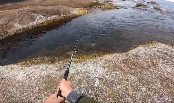 Một cần thủ đã móc vào lưỡi câu của mình một con cua và thả nó xuống biển. Một lúc sau, bất ngờ anh kéo lên được một sinh vật khủng có hàm răng sắc nhọn.