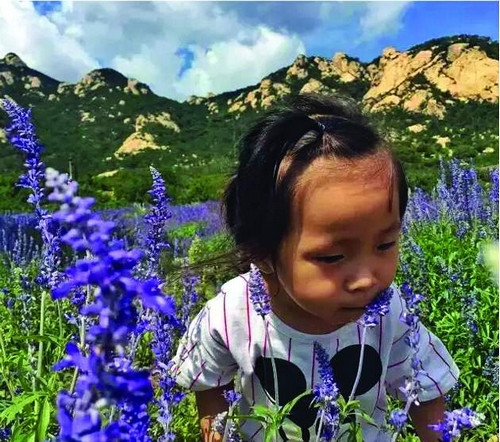 Zhu cho biết, anh đã kết bạn với những người lạ mà họ gặp và tìm kiếm cơ hội kinh doanh trong hành trình du lịch. Nhưng anh cho biết điều quan trọng nhất của kế hoạch này là giúp con gái nhỏ của mình cảm nhận thế giới bằng trực quan.