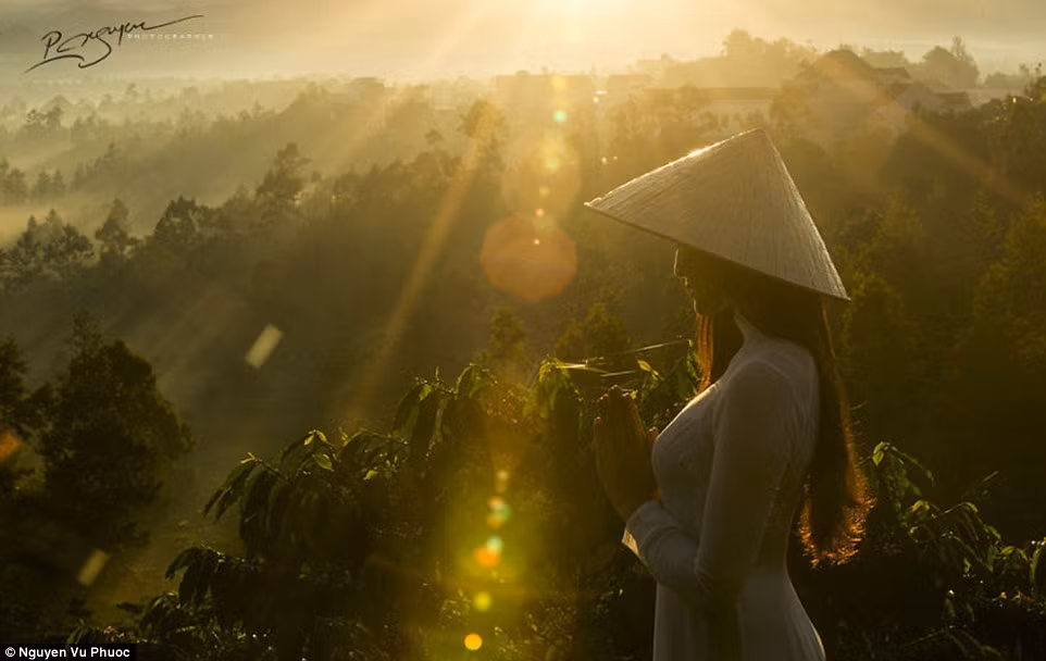 Vẻ đẹp của thiếu nữ dưới nắng sớm.