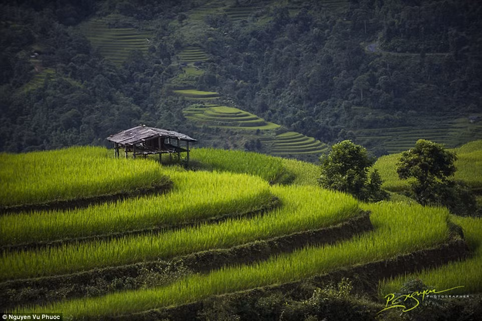 Vẻ đẹp của ruộng bậc thang ở Hà Giang.