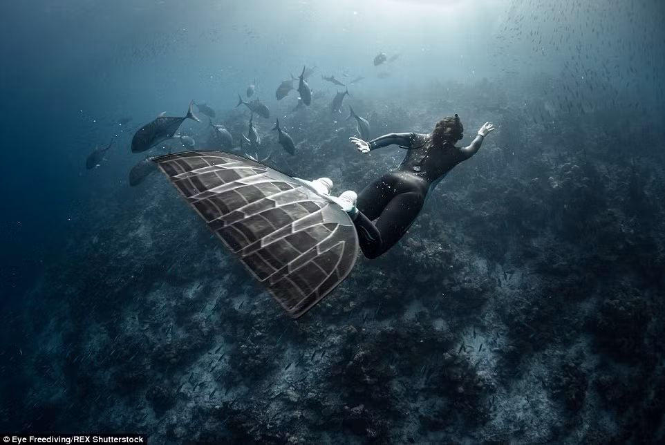 Theo Roubaud, lặn tự do không phải là hoạt động nguy hiểm nếu tuân thủ các nguyên tắc an toàn.