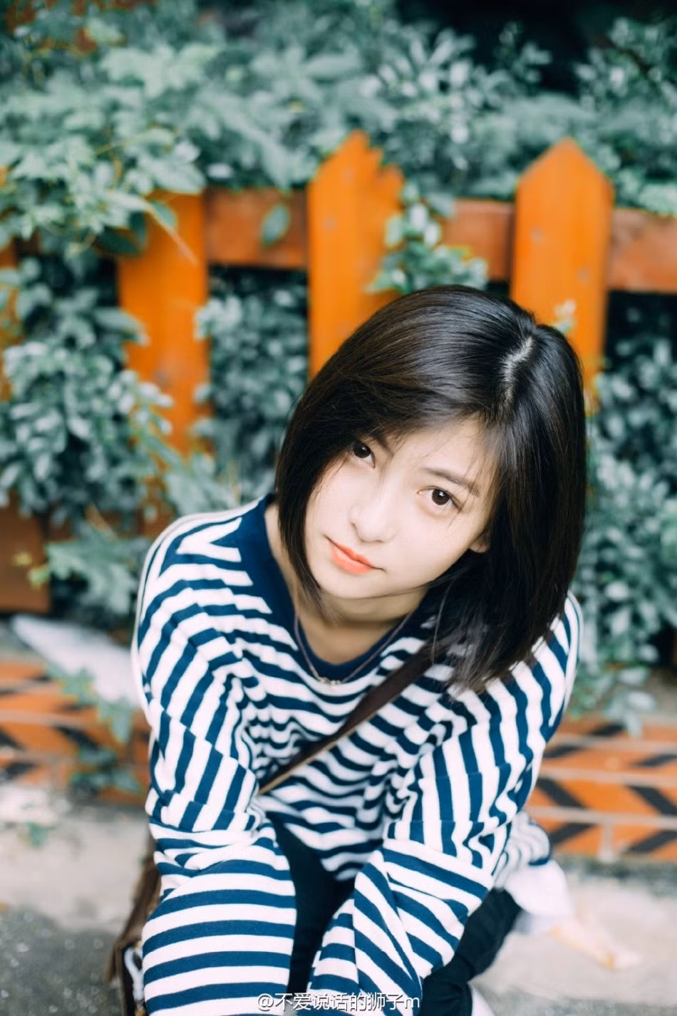 Cặp mắt như biết nói của Lion M.