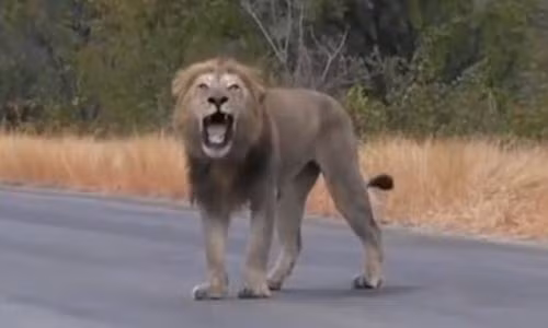 Su tu duc khoc nuc no vi bi duoi khoi dan