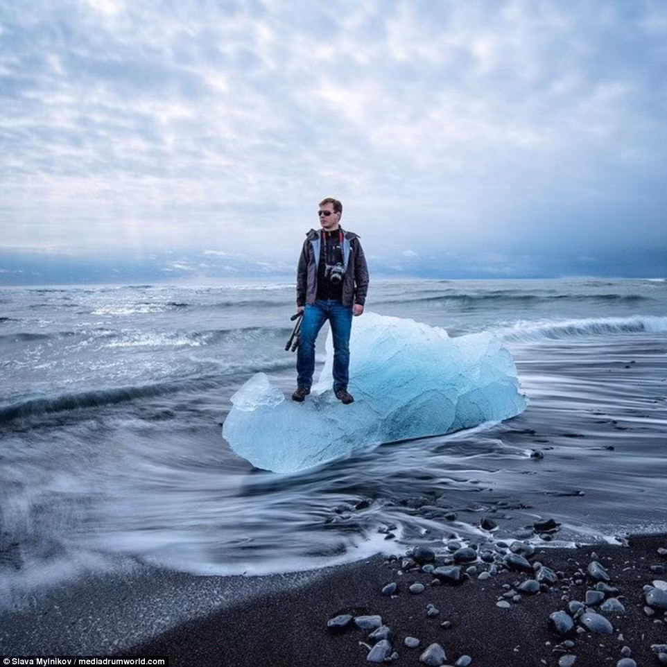 Nhiếp ảnh gia Slava Mylnikov rất đam mê chụp ảnh gấu nâu ở vùng Alaska.