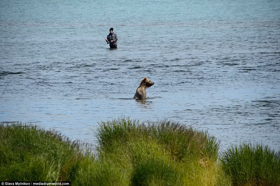 Nên họ vẫn tiếp tục câu như không có chuyện gì xảy ra.