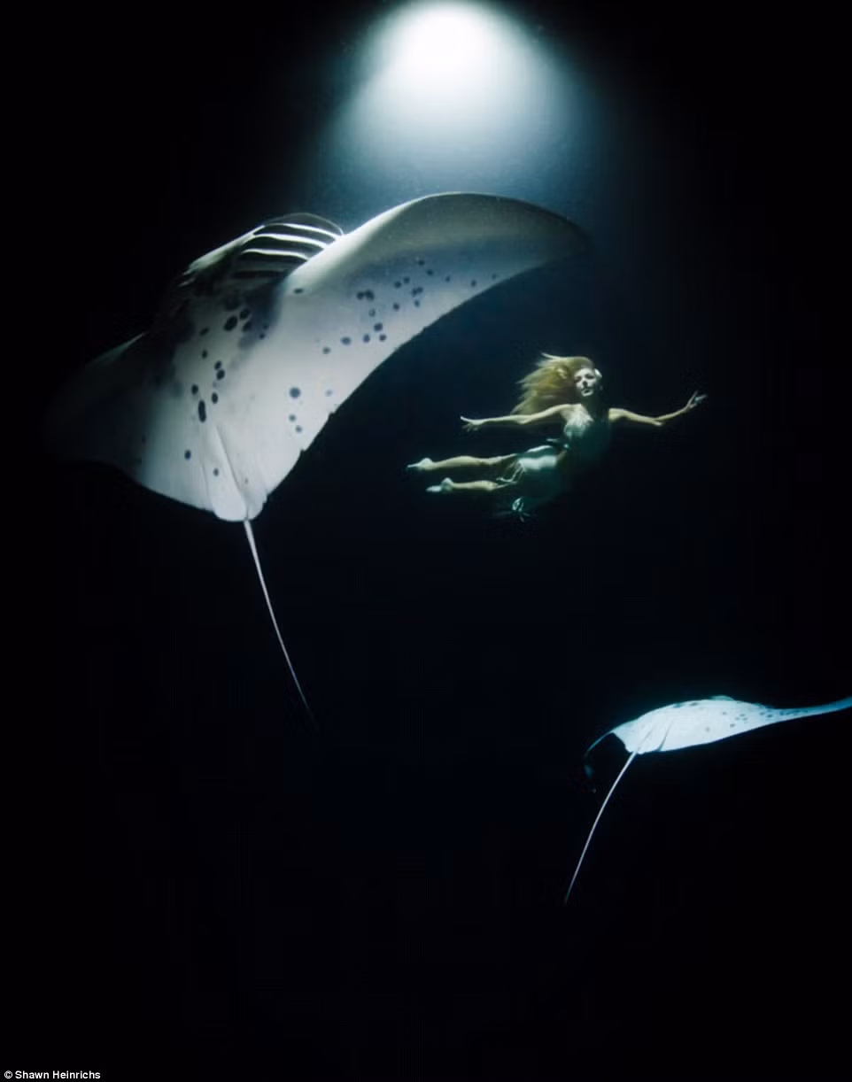 Những bức ảnh này là một phần trong dự án tuyên truyền bảo tồn loài cá đuối mang tên “Cá đuối ban đêm”.