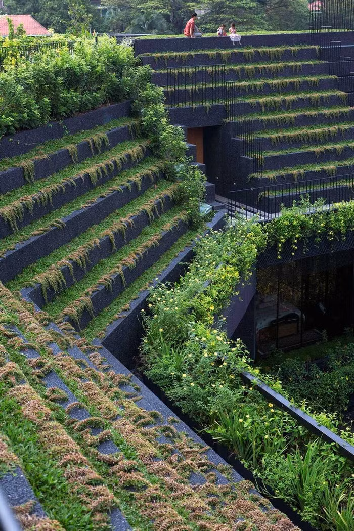 Ngôi nhà có khoảng sân trống để lũ trẻ có thể chơi đùa. Đường mòn được lát bằng giúp ông bà có thể đi dạo và tận hưởng không gian xanh. Ngoài ra, còn có một góc vườn được rào bằng lưới sắt để trồng rau và cây cối.