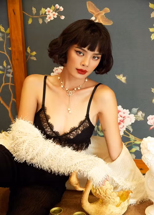 Trần Hiền từng là nữ hoàng lookbook với cát-sê không hề thấp. Ảnh: FBNV.