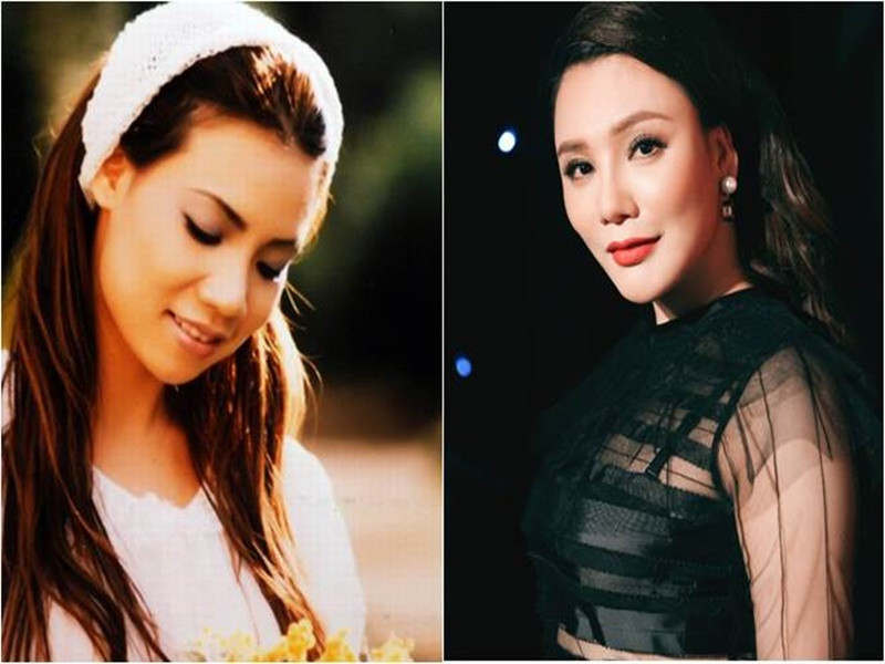 Gương mặt của nữ ca sĩ trở nên thon gọn hơn. Ảnh: Dân Việt.