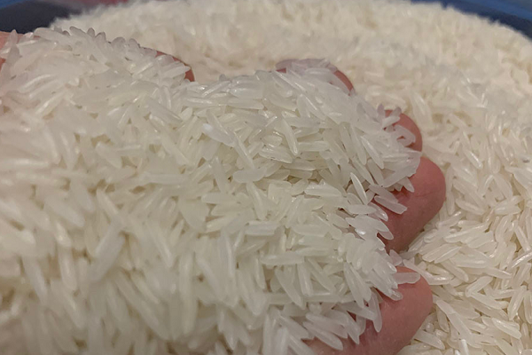 Các nước tăng mua gạo vì El Nino, doanh nghiệp Việt "trúng đậm" Cac nuoc tang mua gao vi El Nino, doanh nghiep Viet