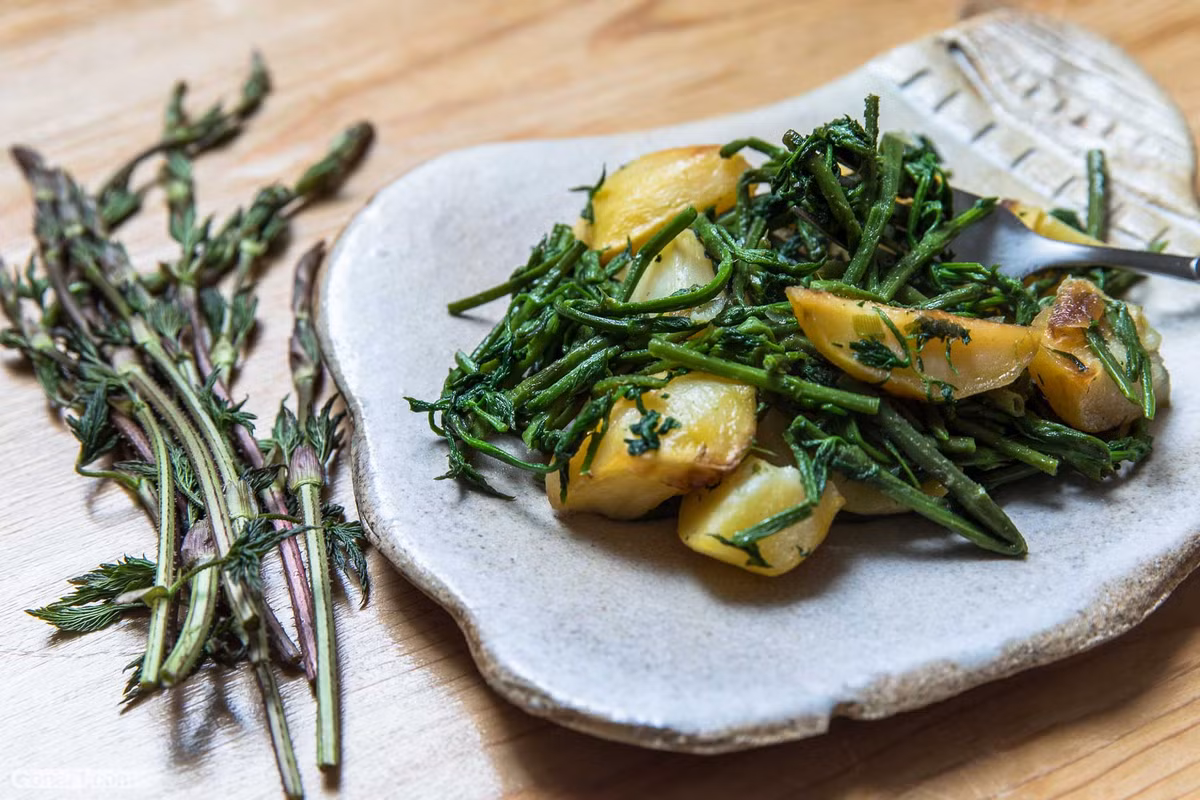 Choi cay moc hoang sieu dat do, gia hon 23 trieu dong/kg-Hinh-2