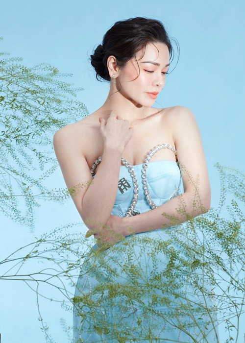 Hiện tại, Nhật Kim Anh kinh doanh, đóng phim, ca hát.