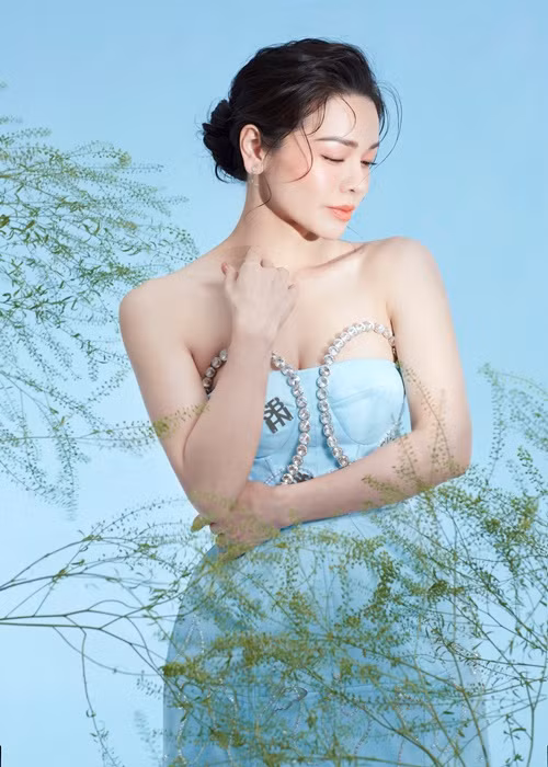 Hiện tại, Nhật Kim Anh kinh doanh, đóng phim, ca hát.