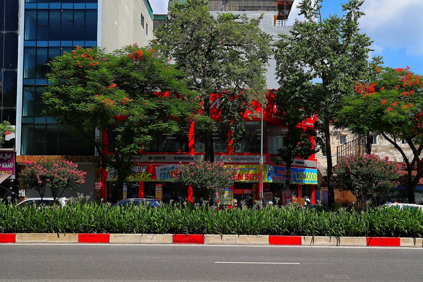 "Ngày nào em cũng đi bộ đến trường trên con đường này, vì vậy luôn được nhìn thấy hàng tường vi từ trên cao dài hàng trăm mét đang nở rộ. Hoa tường vi nở hồng rực rất đẹp khiến cho cả tuyến phố này rực rỡ hơn", Tùng Anh chia sẻ.