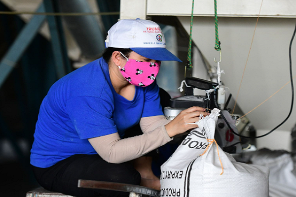 An Do cam xuat khau gao, gia gao co the dat 1.000 USD/tan-Hinh-2