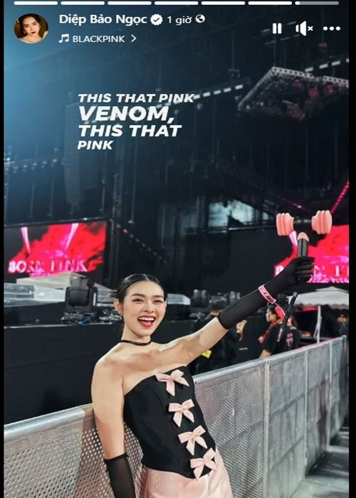 Diệp Bảo Ngọc cũng “trốn con” đi xem concert. Cô chia sẻ: “Thỉnh thoảng cứ nghĩ mình 22 tuổi để có sức đi xem concert”. Ảnh: FBNV.