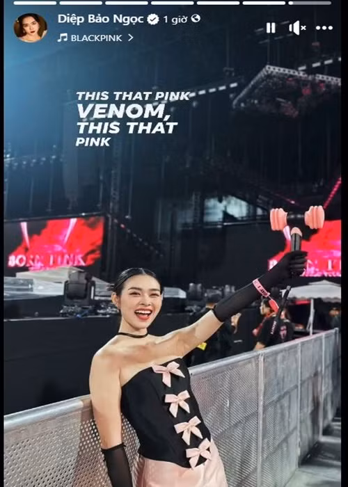 Diệp Bảo Ngọc cũng “trốn con” đi xem concert. Cô chia sẻ: “Thỉnh thoảng cứ nghĩ mình 22 tuổi để có sức đi xem concert”. Ảnh: FBNV.