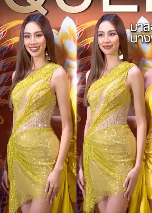 Hoa hậu Thùy Tiên bị soi sử dụng phụ tùng độn vòng ba. Ảnh: Dân Việt.