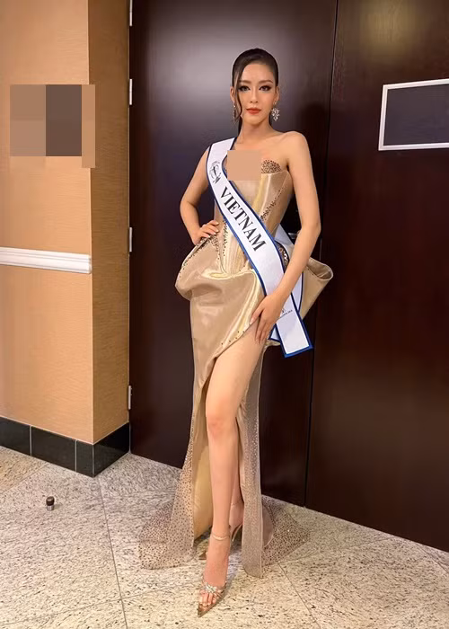 "...Tôi thật sự không biết nói sao cho hết hạnh phúc này. Tôi không thể quên được cảm xúc khi hai tiếng Việt Nam được hô vang trên sân khấu. Tôi đã mơ khoảnh khắc đó bao lâu nay và vẫn chưa dám tin nó đã trở thành sự thật. Tôi xin biết ơn tất cả những yêu thương và cả những khó khăn đã giúp tôi có được vị trí này”, nàng hậu nói.