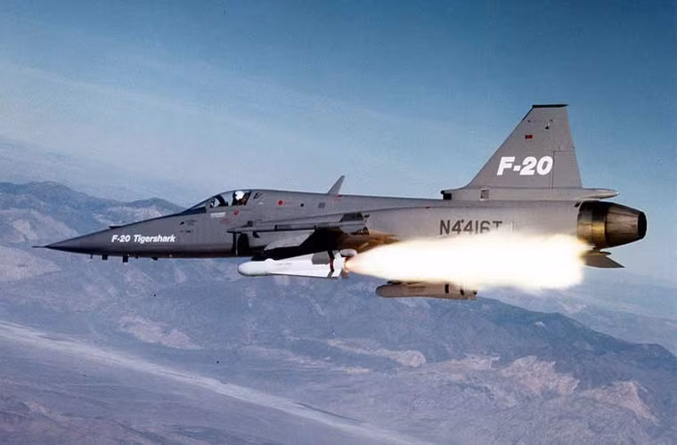 Trong nhiêm vụ không đối đất, F-20 mang được tên lửa không đối đất AGM-65 Maverick; 2 ống phóng rocket CRV-7 hoặc loại LAU-10 với 4 rocket 127mm hoặc 2 Matra với 18 rocket 68mm; hoặc bom công dụng chung Mk80, bom chùm CBU-24/49/52/58...