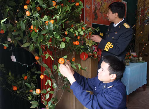 Cán bộ, chiến sĩ trang trí cây quả đón giao thừa.